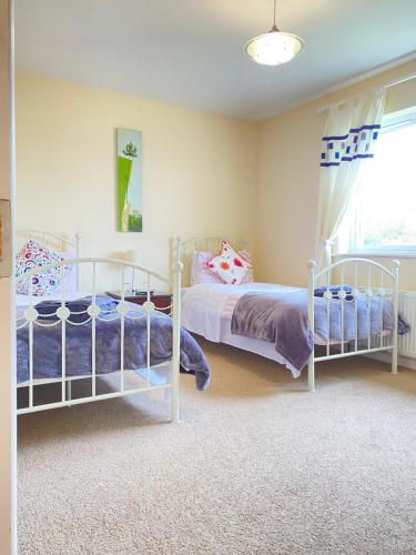 a bedroom with two bunk beds and a window at Valentia Skellig Rooms in Valentia Island