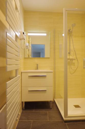 une salle de bain avec un lavabo et une douche dans l'établissement Puig Roja del Roser, à Prats-de-Mollo-la-Preste
