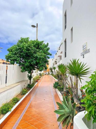 un passaggio pedonale con alberi e piante in un edificio di Océano Azul luminoso 50 metros del mar en centro a Corralejo