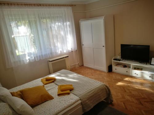 TV a/nebo společenská místnost v ubytování Fontana Apartman