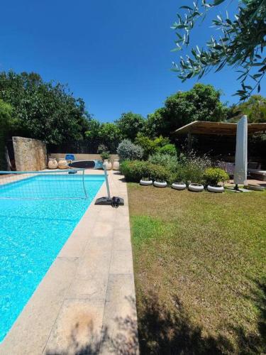 - une piscine à côté d'un champ d'herbe et d'arbres dans l'établissement gorgeous herzeliya pool villa, à Herzliya