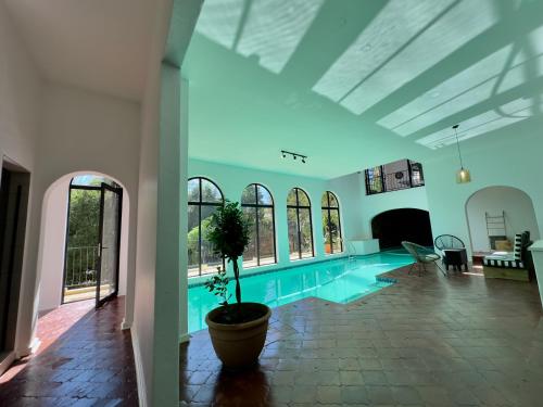 uma piscina com um vaso de plantas num quarto em Riverside House with Indoor Pool em Joanesburgo