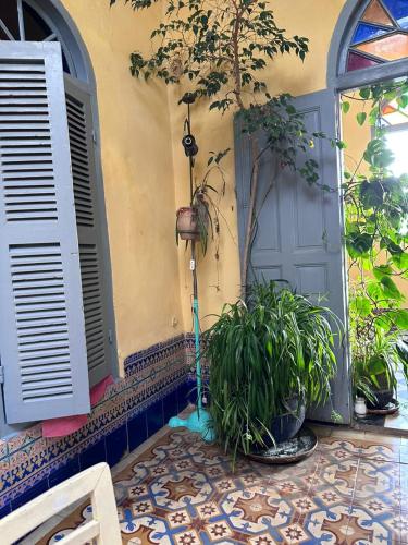 a house with a door and some plants in front of it at La Maison Haute Larache Morocco in Larache