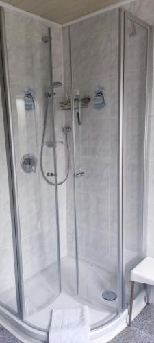y baño con ducha con puertas de cristal y ojos azules. en Schöne 3 Zi. Ferienwohnung vor den Toren Frankfurt en Dreieich