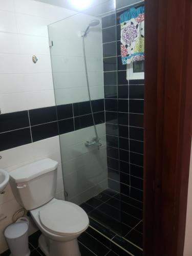 a bathroom with a toilet and a shower at Recidencial job in Santiago de los Caballeros