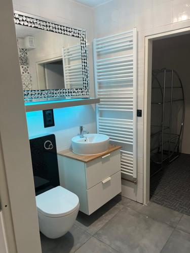 een badkamer met een toilet, een wastafel en een spiegel bij Your dream flat in Vohenstrauß
