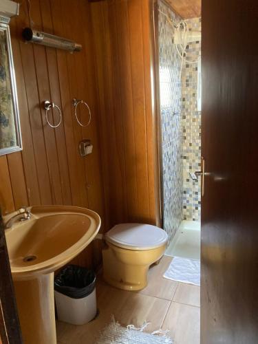 uma casa de banho com um lavatório, um WC e um chuveiro em Chalé amor perfeito em Campos do Jordão