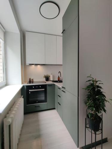a kitchen with white cabinets and a potted plant at Super asukohas modernne korter! in Pärnu