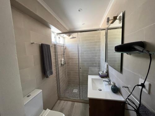 La salle de bains est pourvue d'une douche, de toilettes et d'un lavabo. dans l'établissement A Casa da Azenha, à Sertã