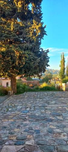 Сад в Los Arcabuceros Casa Hotel Boutique