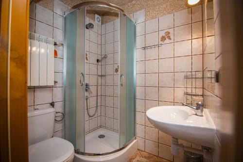 ビャウカにあるLimba pod Kotelnicąのバスルーム(シャワー、トイレ、シンク付)