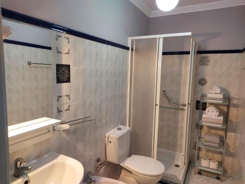 a bathroom with a toilet and a shower and a sink at Apartamento Iceberg in Tazacorte