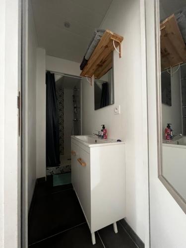 een badkamer met een witte wastafel en een spiegel bij Petite maison dans le beaujolais 