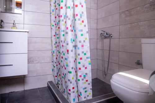 La salle de bains est pourvue d'un rideau de douche et de toilettes. dans l'établissement Dimitra's Country House in Forest and Sea (2), à Metamórfosi