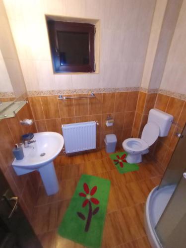 La petite salle de bains est pourvue d'un lavabo et de toilettes. dans l'établissement Vila Rina, à Moieciu de Sus