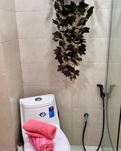 阿爾及爾的住宿－GOLF LOFT( BLUE S 78 )，浴室设有卫生间,上面种植了植物