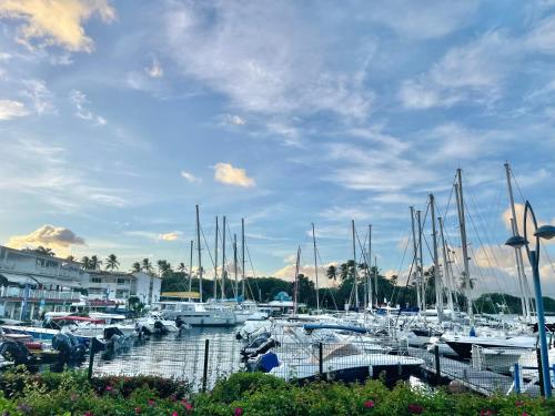 a bunch of boats docked in a harbor at Appartement Belbo de la Marina in Les Trois-Îlets