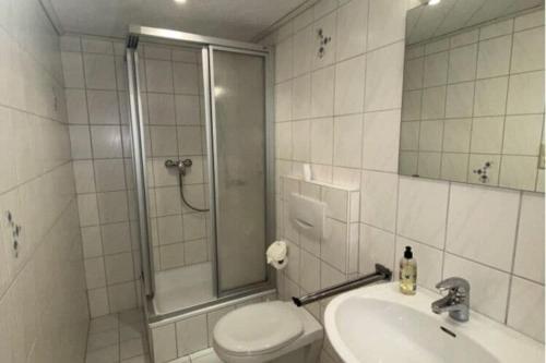 ein Bad mit einer Dusche, einem WC und einem Waschbecken in der Unterkunft Apartment, Hornberg in Niederwasser