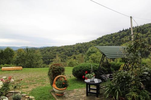 a garden with a view of a mountain at Котедж "Красний Краєвид" in Yaremche