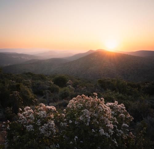 a sunset over a mountain with flowers in the foreground at Kuzuko Lodge in Addo