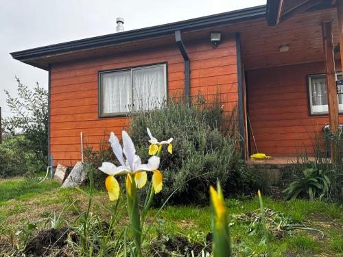 a house with a flower in front of it at Vista Alegre in Parral