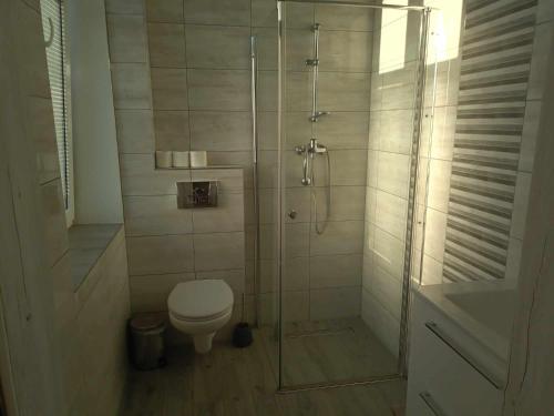 uma casa de banho com um WC e uma cabina de duche em vidro. em Agroturystyka Goliat 