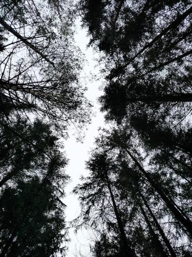 Imagen de la galería de Pohoda u Crhů Senožaty, en Senožaty