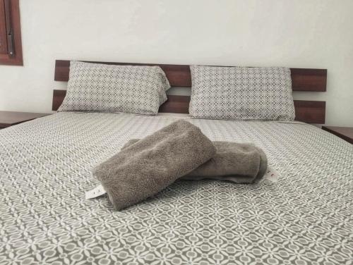 舍夫沙萬的住宿－Casa Ali，床上有毯子和枕头