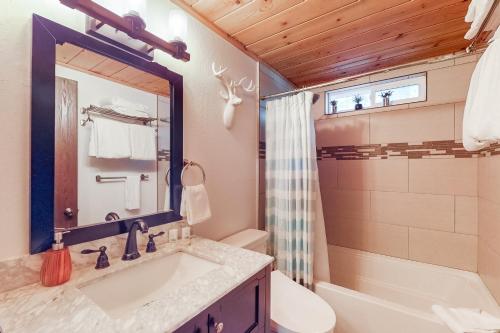 uma casa de banho com um lavatório, uma banheira e um espelho. em Copenhagen Oasis em Truckee
