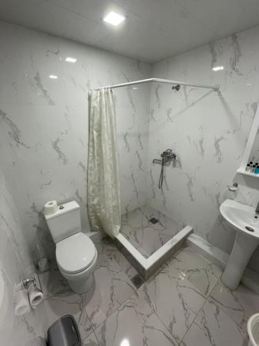 a bathroom with a shower and a toilet and a sink at Natalies apartment in Yerevan
