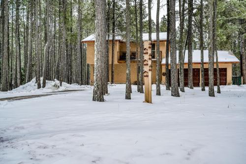 Hibernation Hideout – Photos 2
