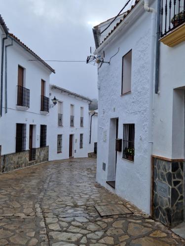 a courtyard of white buildings with a cobblestone street at El Pitijopo in El Gastor