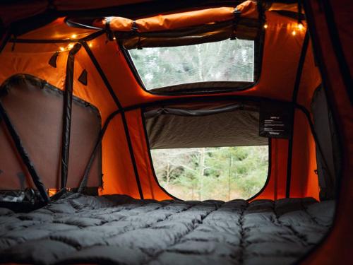a view of the inside of an orange tent with a window at Tentbox Lite 2.0 in Thorpe le Soken