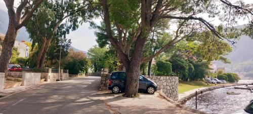 a car parked next to a tree on a street at Apartment Navigator's lodging in Kotor