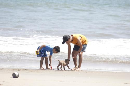 two boys playing with a puppy on the beach at 9 Lunas in Zorritos