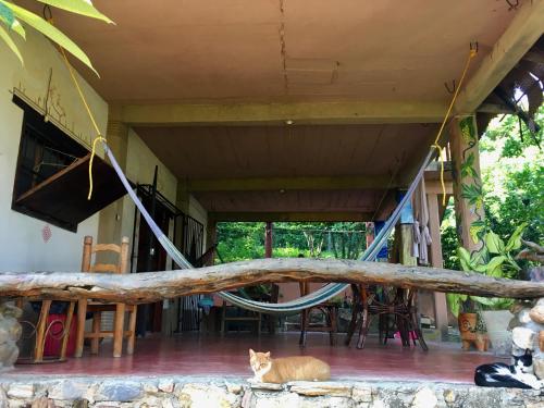 Casa Gulf Zipolite – Photos 5