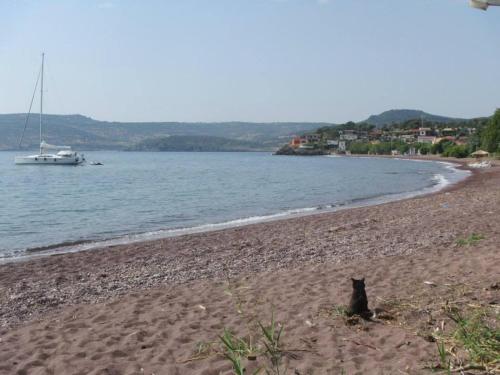 a black cat sitting on a beach with a boat at Eleni B&B in Limánion