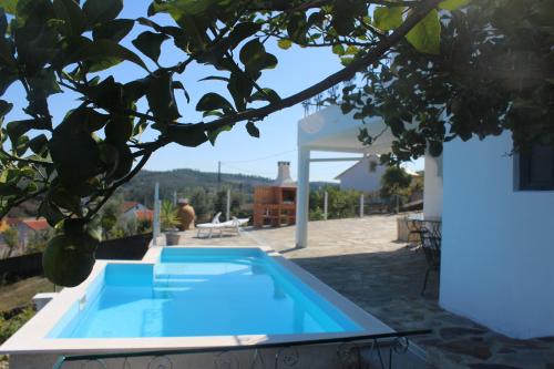 a blue swimming pool in a yard with a tree at Casa do Cabeço in Proença-a-Nova