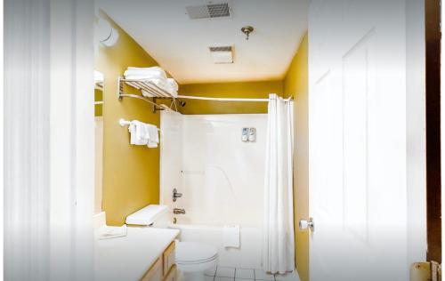 a bathroom with a white toilet and a shower at RRP Condo in Pigeon Forge