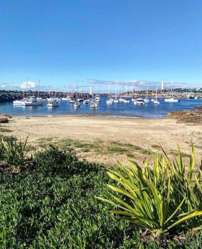 a group of boats are docked in a harbor at 'Wollongong Inner-city Escape' Bright Urban Oasis in Wollongong