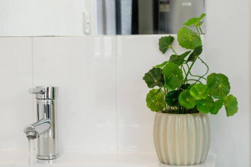 a green plant in a white vase on a sink at Saltwater Escape - Live the Sand and Surf Lifestyle in Thirroul