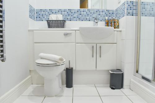 uma casa de banho com um WC, um lavatório e um chuveiro em Studio for Professionals Trades Relocators em Cardiff