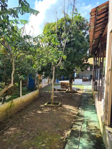 Ein Baum in einem Hof neben einem Gebäude in der Unterkunft SITIO MEU XODO in Pau dʼAlho