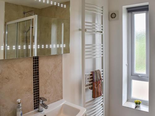 La salle de bains est pourvue d'un lavabo, d'un miroir et d'une fenêtre. dans l'établissement Cedar Lodge, à Old Buckenham