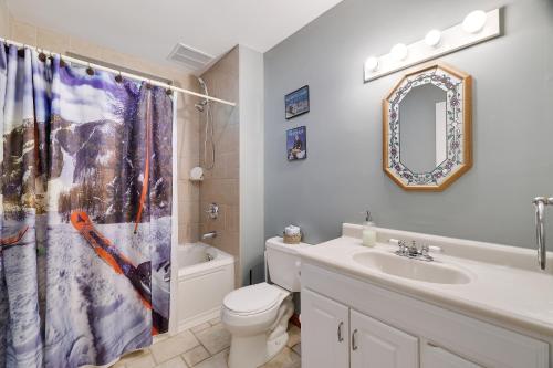 uma casa de banho com um lavatório de WC e uma cortina de chuveiro em Mt. Maplewood Chalet em Pocono Lake