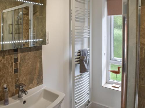 a bathroom with a sink and a shower at Chestnut Lodge in Old Buckenham
