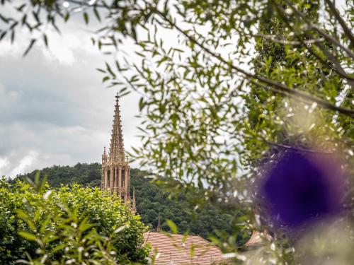 a church steeple in the distance with a tree at Maison rénovée au cœur de Thann : 3 chambres, cuisine équipée, proche randonnées et villes alsaciennes - FR-1-744-11 in Thann