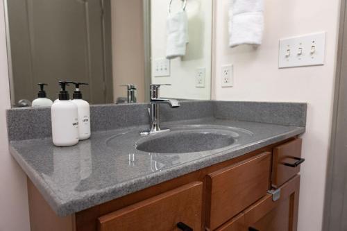 eine Badezimmertheke mit einem Waschbecken und einem Spiegel in der Unterkunft Luxury 2 Bedroom Apt With Exposed Brick Downtown in Roanoke