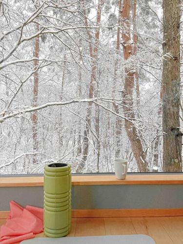 Το Hakuba Arboretum — Luxury Chalet in Forest Setting τον χειμώνα