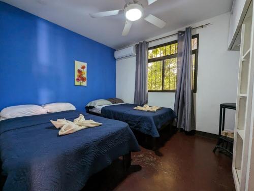two beds in a room with blue walls and a window at Iguana Street Houses in Coco
